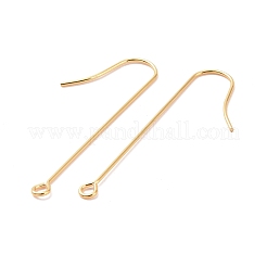 316 Surgical Stainless Steel Earring Hooks&nbsp;X-STAS-E027-02A-G