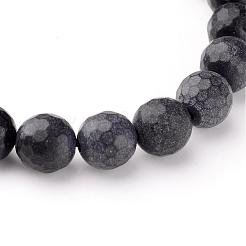 Natural Black Stone Beads Strands&nbsp;G-G542-14mm-04