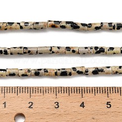 Natural Dalmatian Jasper Beads Strands&nbsp;G-P600-B01-01