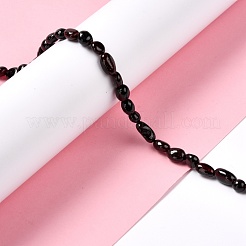 Natural Garnet Beads Strands&nbsp;G-F706-04A