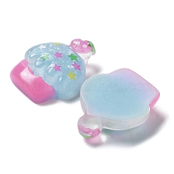 Translucent Resin Decoden Cabochons&nbsp;CRES-D018-03B