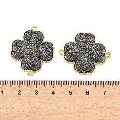 Brass with Druzy Resin Connector Charms&nbsp;KK-C158-05B-G