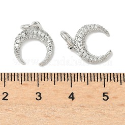 Brass Micro Pave Cubic Zirconia Pendants&nbsp;KK-D386-15P-01