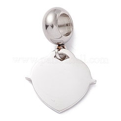 304 Stainless Steel European Dangle Charms&nbsp;STAS-I192-13P
