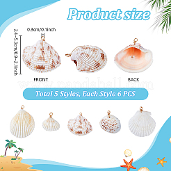 30Pcs 5 Style Natural Shell Pendant&nbsp;PALLOY-PH01860