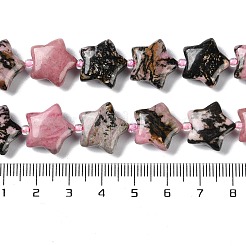 Natural Rhodonite Beads Strands&nbsp;G-NH0005-29