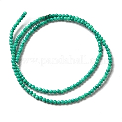 Natural Howlite Beads Strands&nbsp;G-C025-15A
