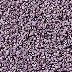 MIYUKI Delica Beads&nbsp;SEED-J020-DB1064