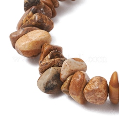 Natural Picture Jasper Beads Stretch Bracelets for Men Women&nbsp;BJEW-JB11845