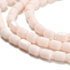 Opaque Glass Beads Strands&nbsp;GLAA-G112-04P