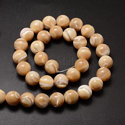 Natural Sea Shell Beads Strands&nbsp;SSHEL-K013-12mm-B