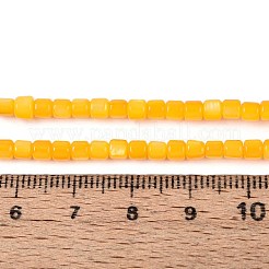 Dyed Natural Freshwater Shell Beads Strands&nbsp;SHEL-T020-56B