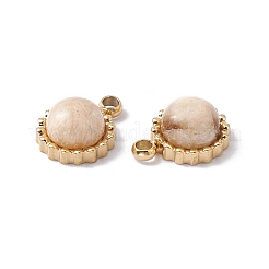 Natural Mixed Stone Charms&nbsp;STAS-H168-02G