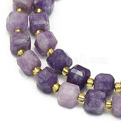 Natural Lepidolite/Purple Mica Stone Beads Strand&nbsp;G-I376-D34-01