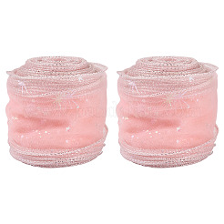 Polyester Deco Mesh Ribbons&nbsp;OCOR-TAC0024-004D