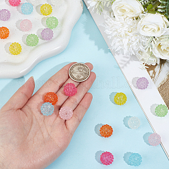 24Pcs 8 Colors Transparent Resin Beads&nbsp;RESI-PA0001-57