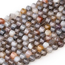Natural Botswana Agate Beads Strands&nbsp;G-P611-C08-01