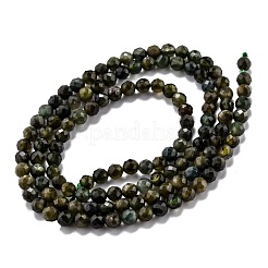 Natural Green Tourmaline Beads Strands&nbsp;G-H266-06C