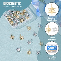 40Pcs 2 Colors Alloy Pendants&nbsp;FIND-DC0005-50