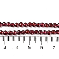 Natural Garnet Beads Strands&nbsp;G-F770-B02-01