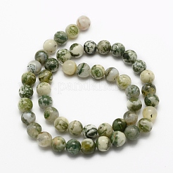 Natural Tree Agate Beads Strands&nbsp;G-G735-02-8mm