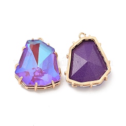 K9 Glass Pendants&nbsp;KK-E071-08KCG
