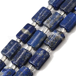 Natural Lapis Lazuli Beads Strands&nbsp;G-Z087-C01