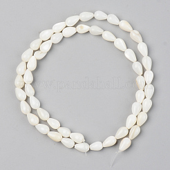 Natural Freshwater Shell Beads Strands&nbsp;SSHEL-R048-007B