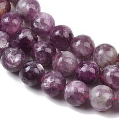 Natural Lepidolite/Purple Mica Stone Beads Strands&nbsp;G-G160-A01-02A