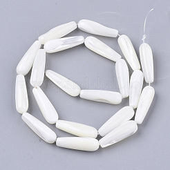 Natural Trochid Shell/Trochus Shell Beads Strands&nbsp;SSHEL-N032-03
