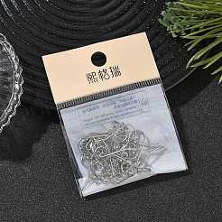 SHEGRACE Brass Earring Hooks&nbsp;XGR0137P-155P