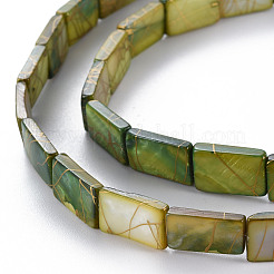 Natural Freshwater Shell Beads Strands&nbsp;SHEL-N026-167
