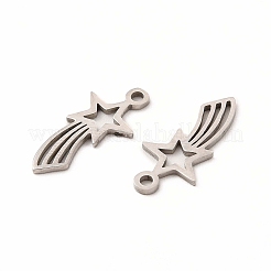 Non-Tarnish 201 Stainless Steel Pendants&nbsp;LS-STAS-E188-04P