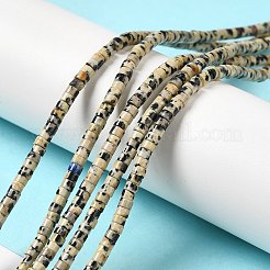 Natural Dalmatian Jasper Beads Strands&nbsp;G-E612-A01-A