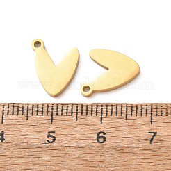 304 Stainless Steel Charms&nbsp;SA-G606-02G