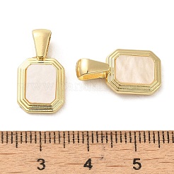 Acrylic Pendants&nbsp;PALLOY-P303-16G