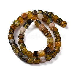 Natural Dragon Veins Agate Beads Strands&nbsp;G-G177-E04-01