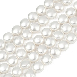 Electroplated Shell Pearl Beads Strands&nbsp;BSHE-G027-13A