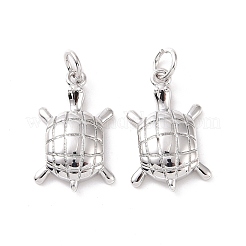 Rack Plating Brass Pendants&nbsp;ZIRC-C042-10P
