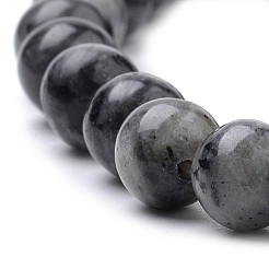 Natural Larvikite Beads Strands&nbsp;G-S259-06-10mm