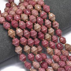 Natural Rhodonite Beads Strands&nbsp;G-K389-D17-01