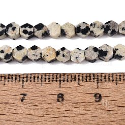 Natural Dalmatian Jasper Beads Strands&nbsp;GG-N002-02A-02