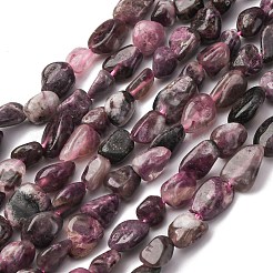 Natural Plum Blossom Tourmaline Beads Strands&nbsp;G-K395-A05-01