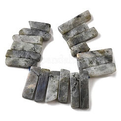 Natural Labradorite Beads Strands&nbsp;G-S386-D18