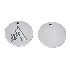 Non-Tarnish 304 Stainless Steel Charms&nbsp;STAS-T059-26P-A