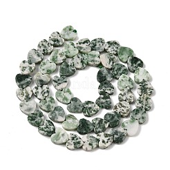 Natural Green Spot Jasper  Beads Strands&nbsp;G-M403-A22-03