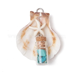7Pcs 7 Styles Natural Scallop Shell & Dyed Synthetic Turquoise Starfish Pendants&nbsp;PALLOY-JF03564-02