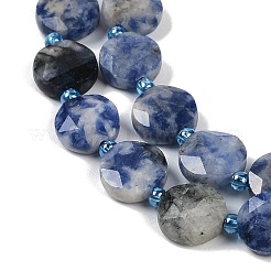 Natural Blue Spot Jasper Beads Strands&nbsp;G-C116-A79-01
