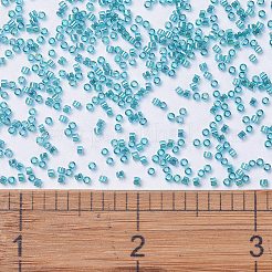 MIYUKI Delica Beads&nbsp;SEED-X0054-DB1248