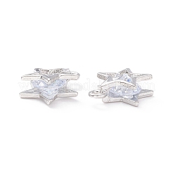 Alloy Clear Cubic Zirconia Charms&nbsp;LS-ZIRC-A022-01P